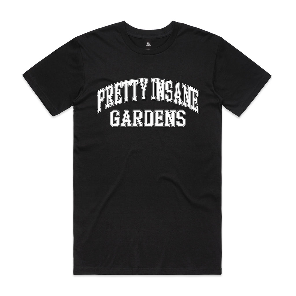 College Letter Insane Tee