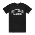College Letter Insane Tee
