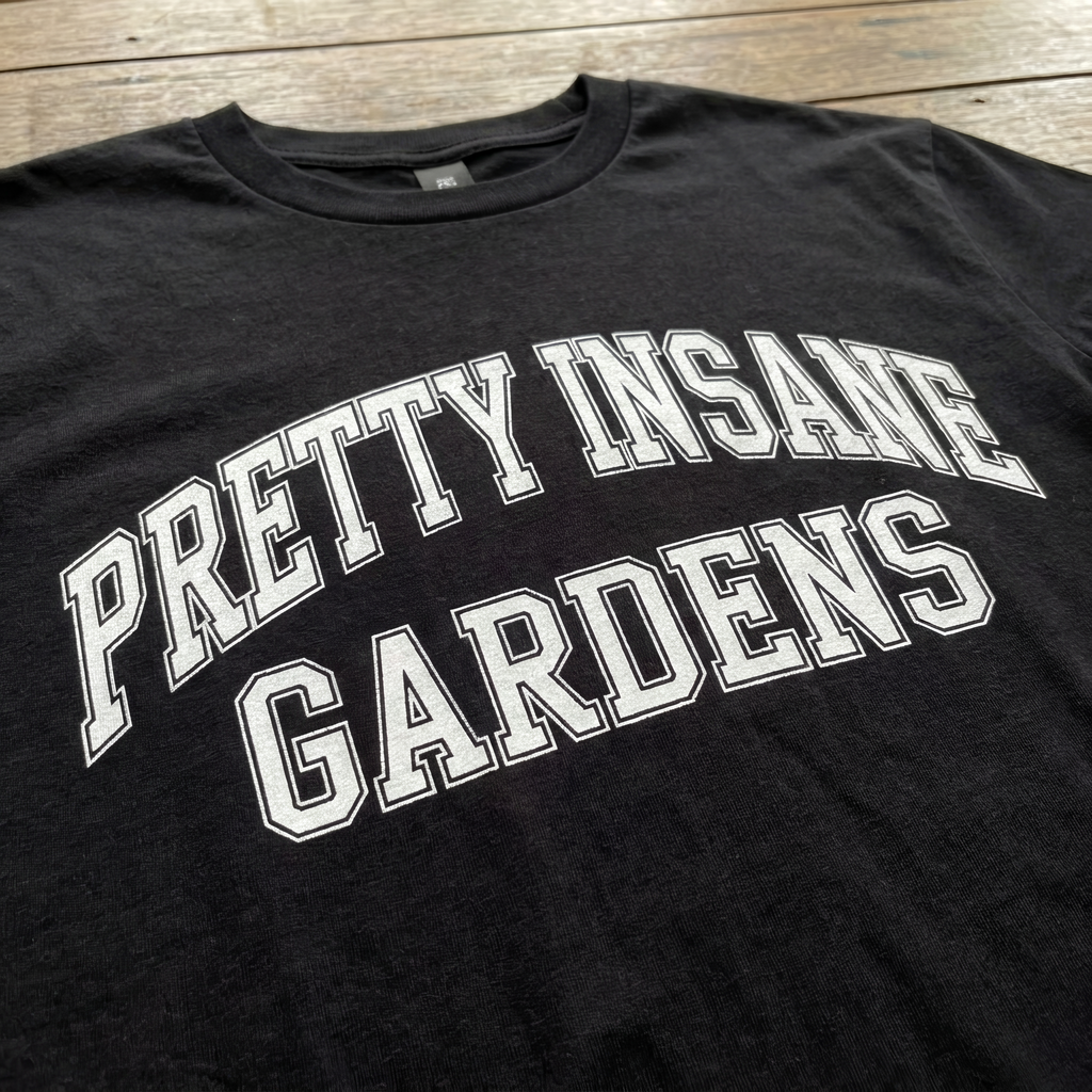 College Letter Insane Tee