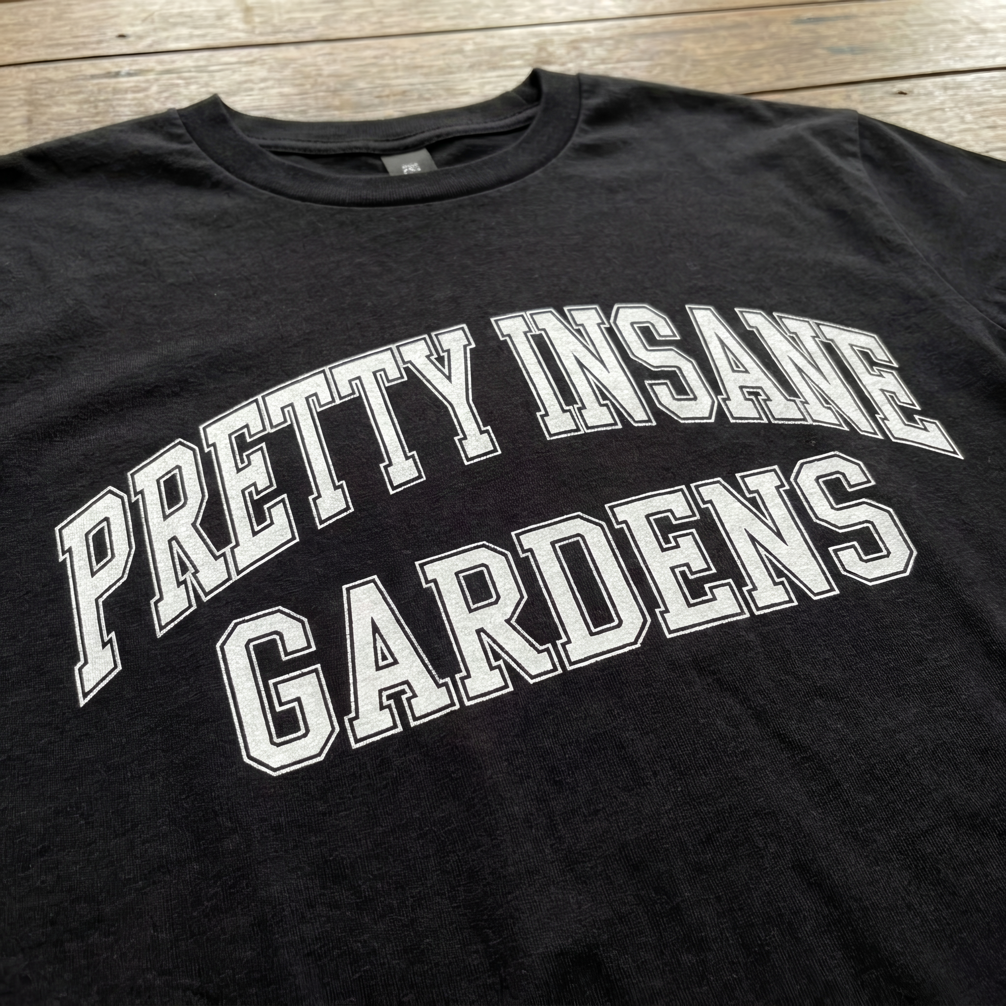 College Letter Insane Tee
