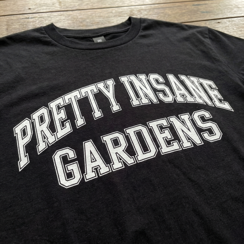 College Letter Insane Tee